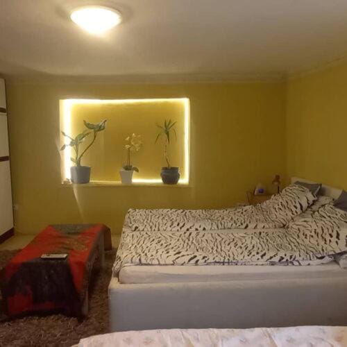 InterSoul Apartman Apartment in Slovakia