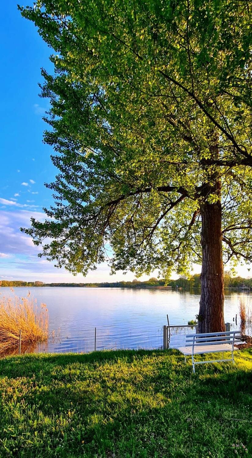 Lake view