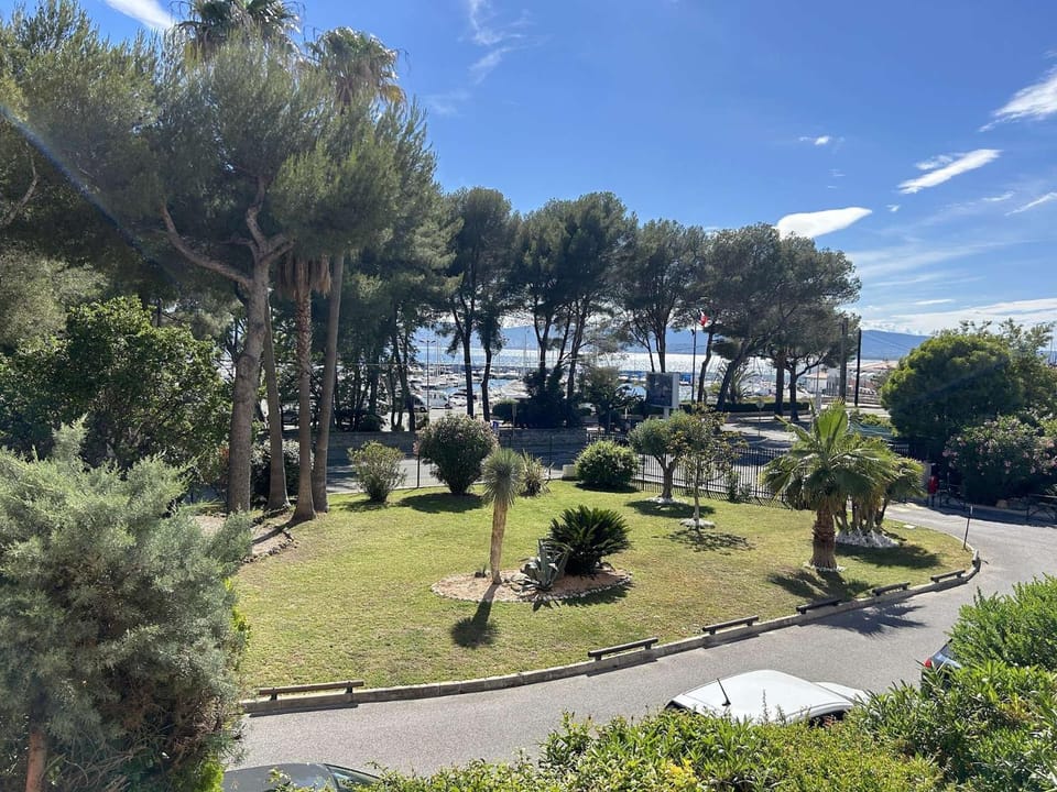 Garden view