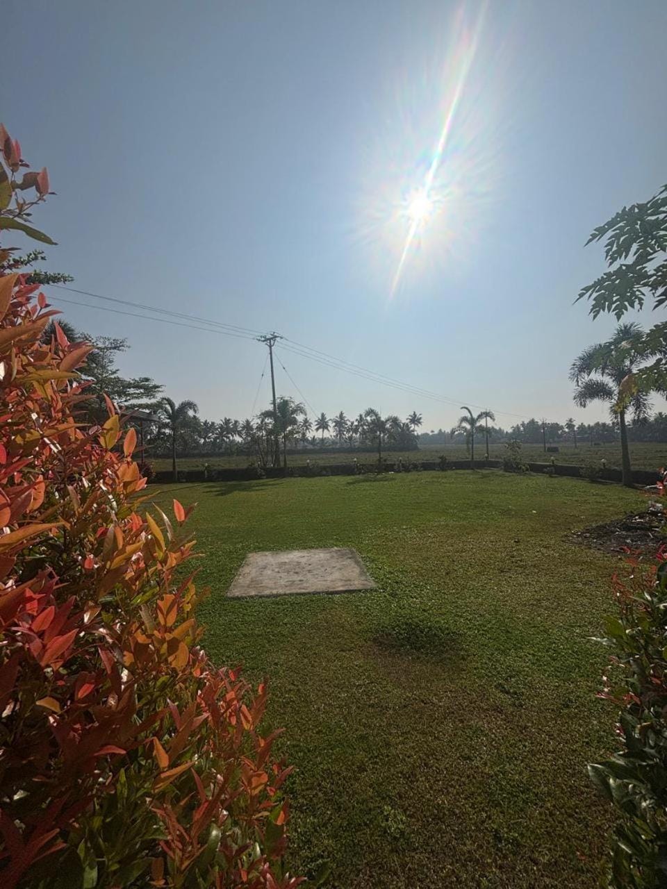 MJ paddy view Homestay Vacation rental in Kumarakom