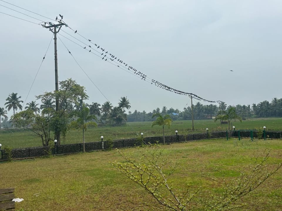 MJ paddy view Homestay Vacation rental in Kumarakom