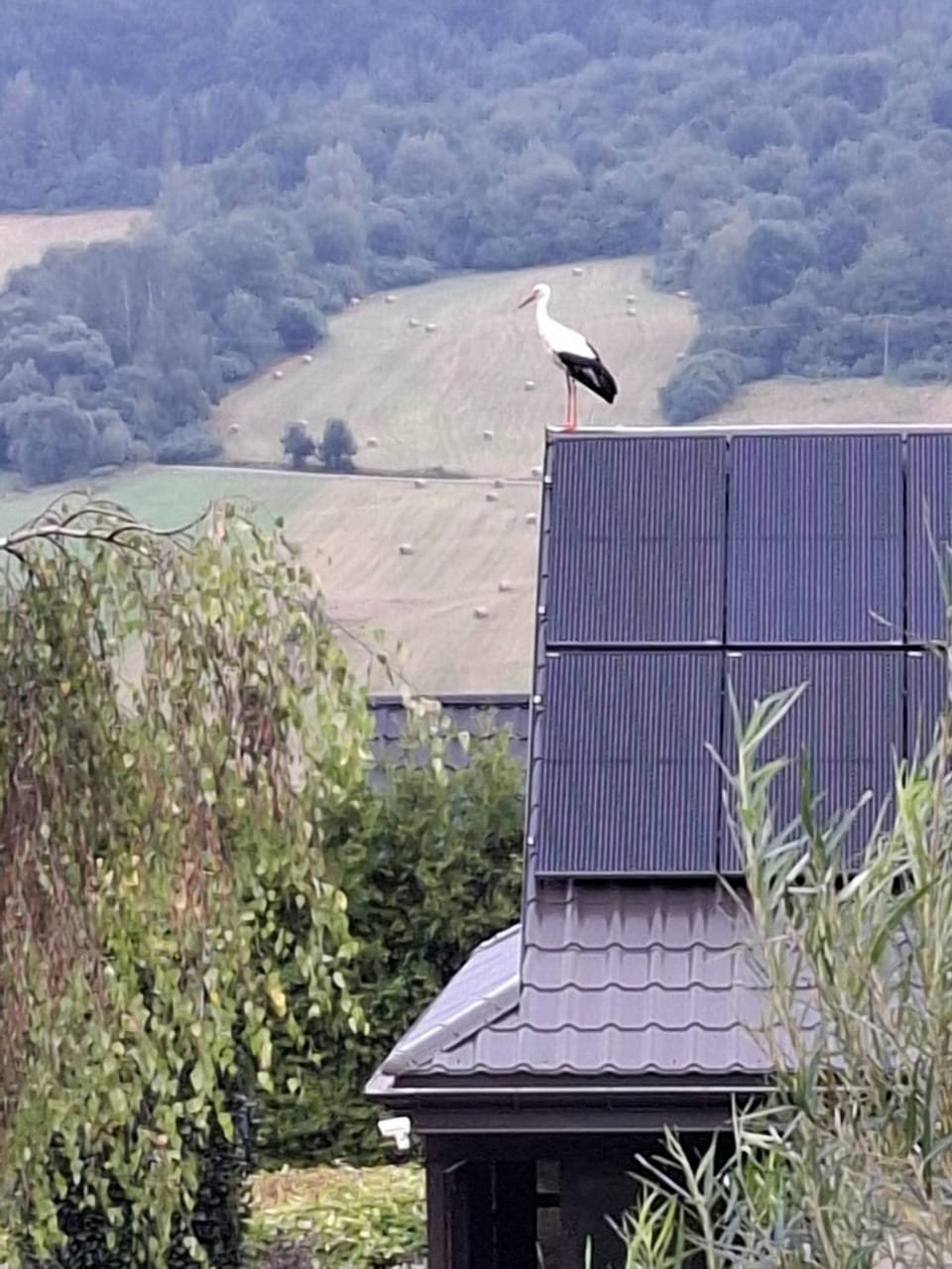 Property building, Natural landscape