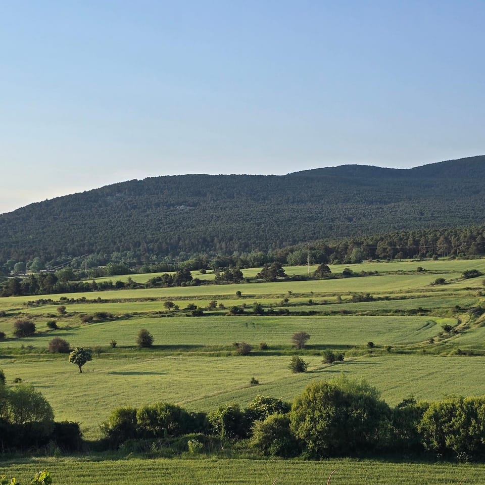 Landmark view