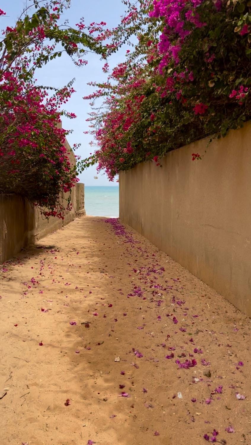 Day, Natural landscape, Beach