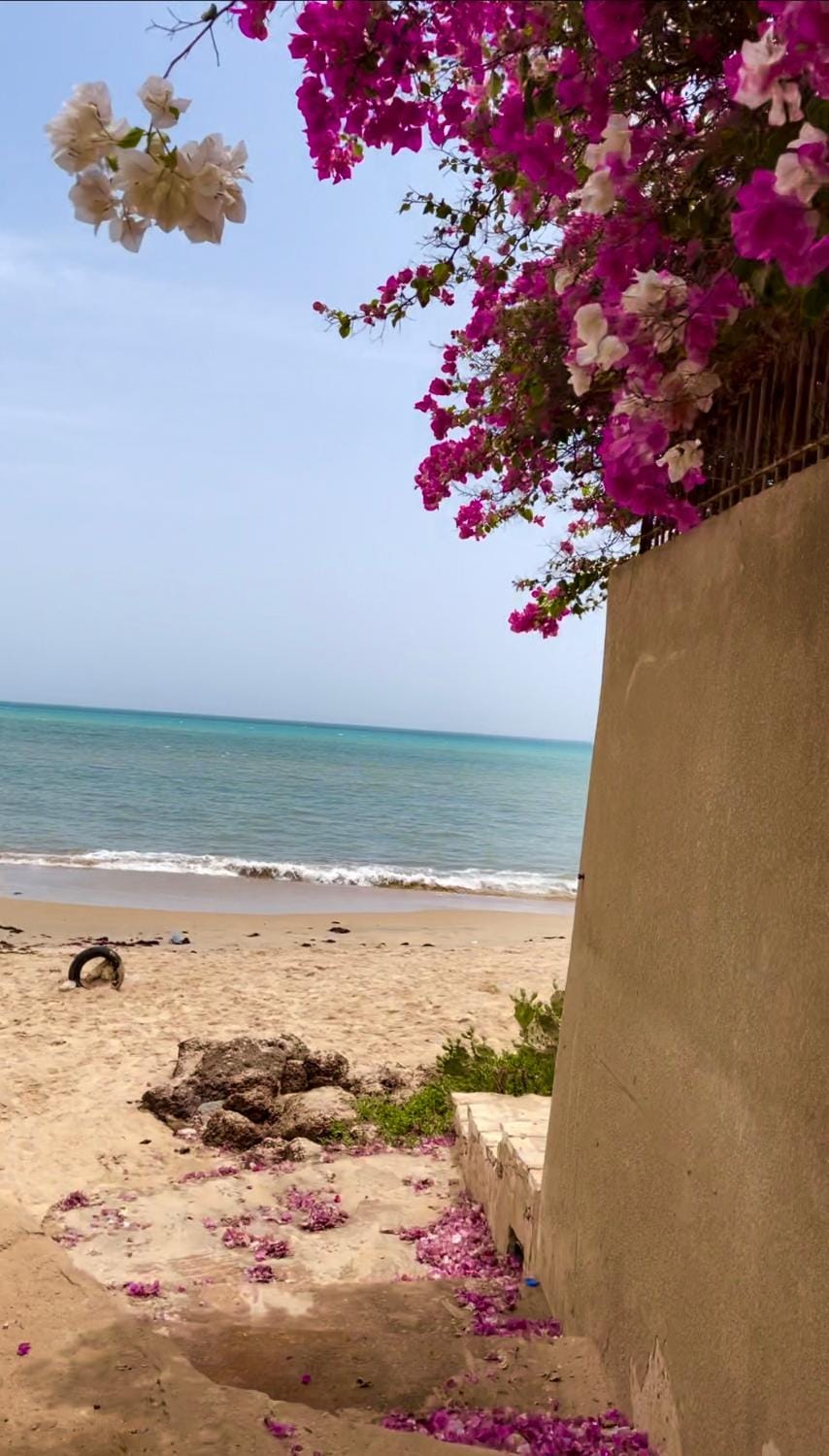 Day, Natural landscape, Beach