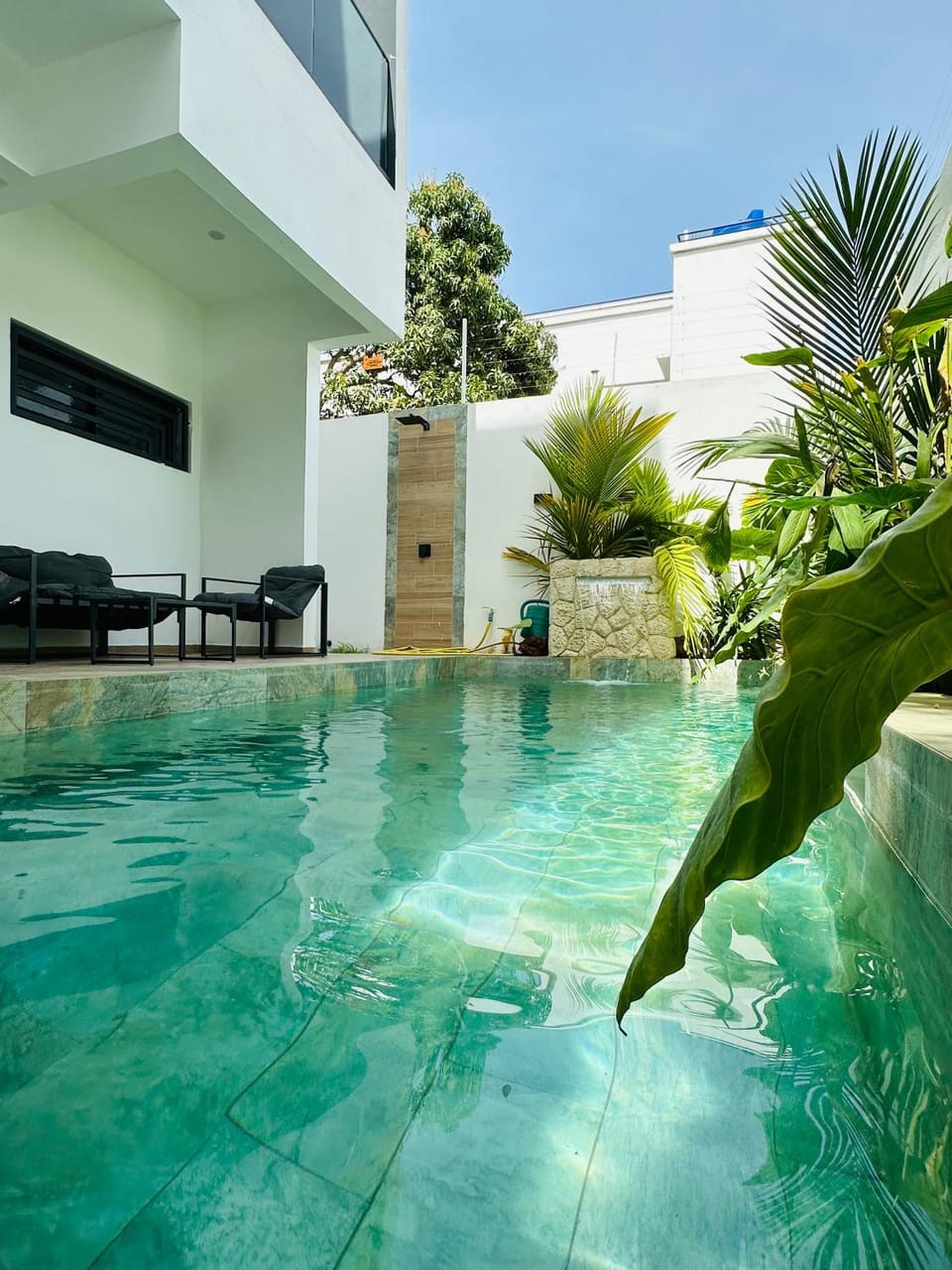 Patio, Natural landscape, Decorative detail, Swimming pool