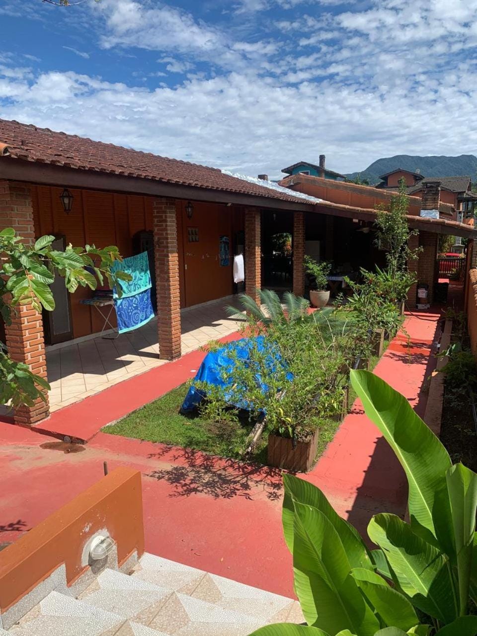 Garden view
