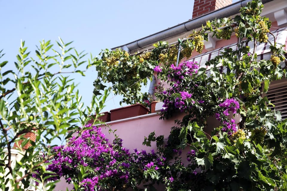 Patio, Facade/entrance, Decorative detail