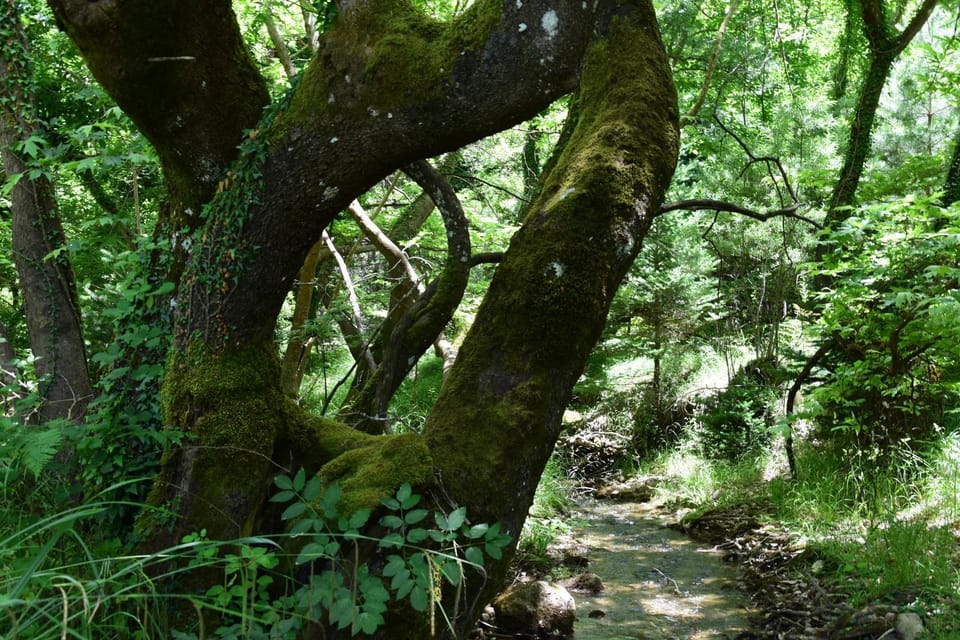 Nearby landmark, Natural landscape
