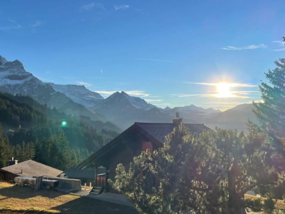 Holiday Home Chalet Bärgblüemli by Interhome House in Adelboden