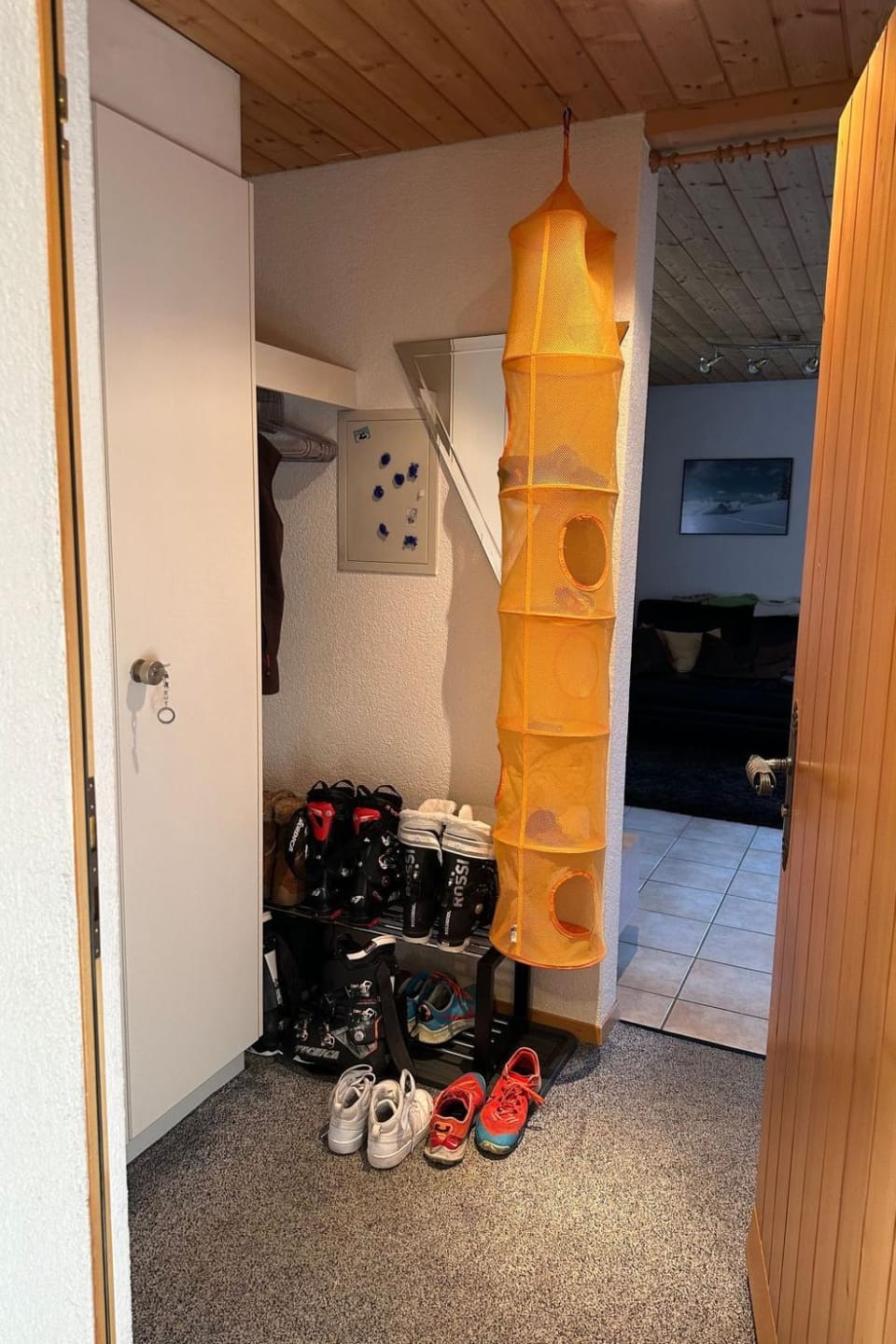 Photo of the whole room