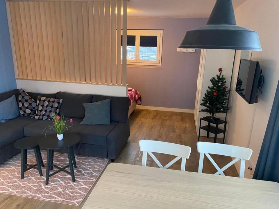Apartment Spring Inn Studio by Interhome Apartment in Canton of Bern (Region)