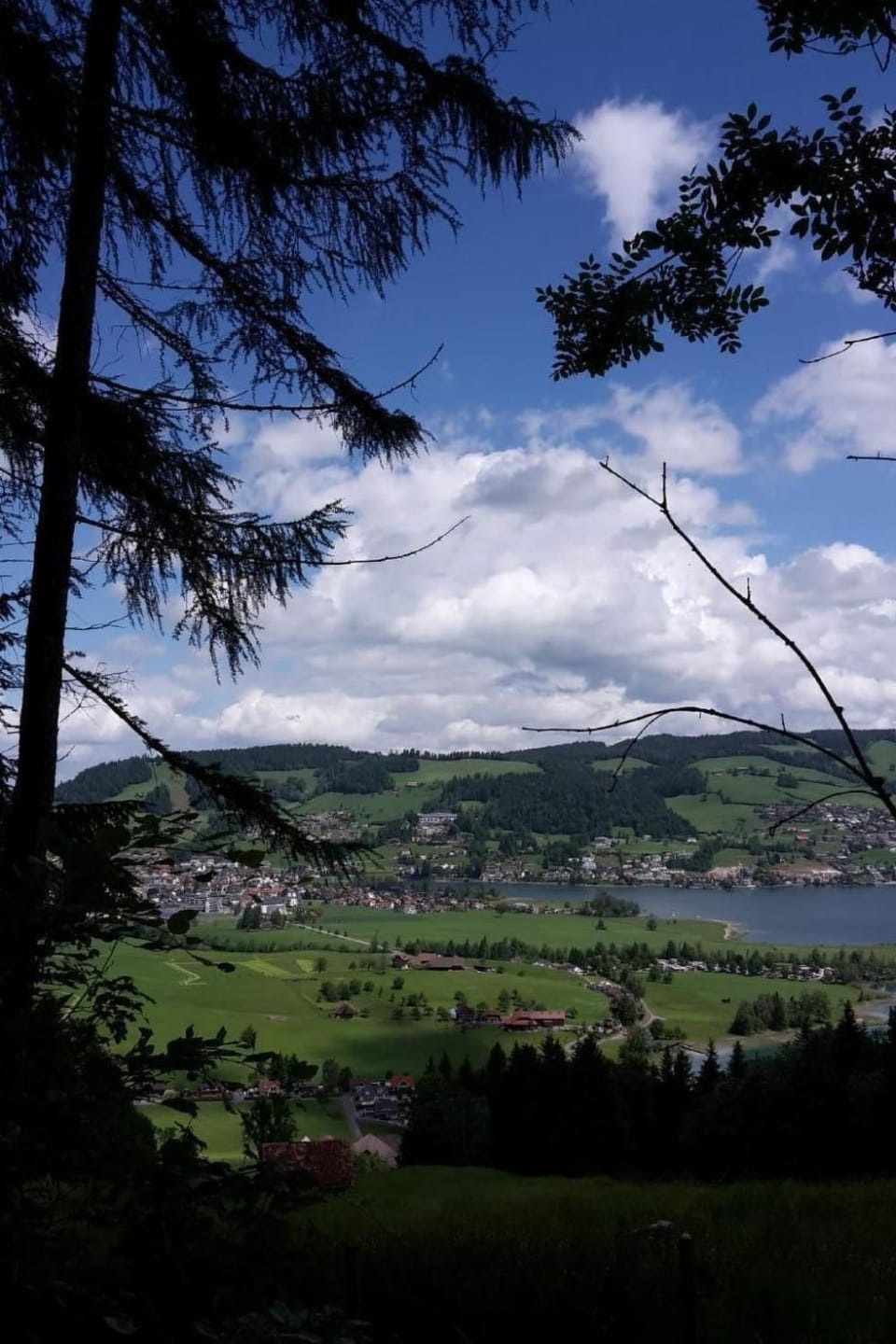 View (from property/room)