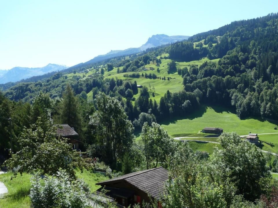 View (from property/room)