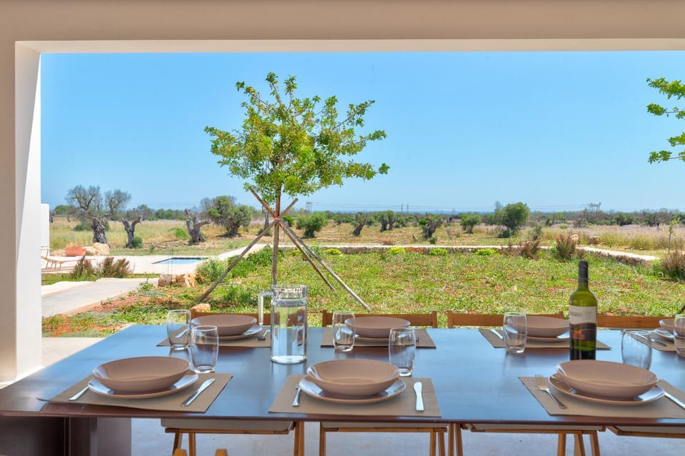 Day, Garden, Food and drinks, Dining area, Food