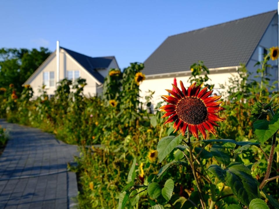 Holiday Home Hafenflair by Interhome House in West Pomeranian Voivodeship, Poland