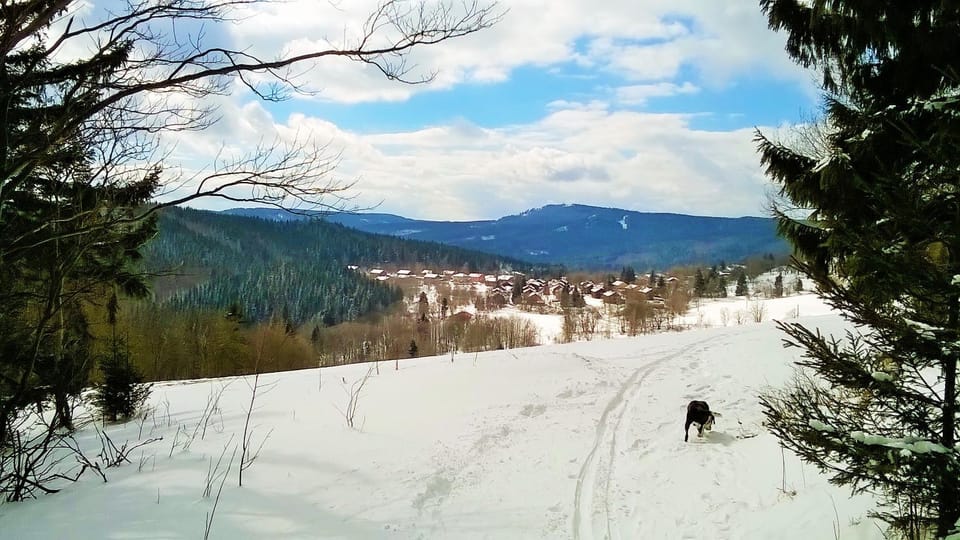 Mountain view