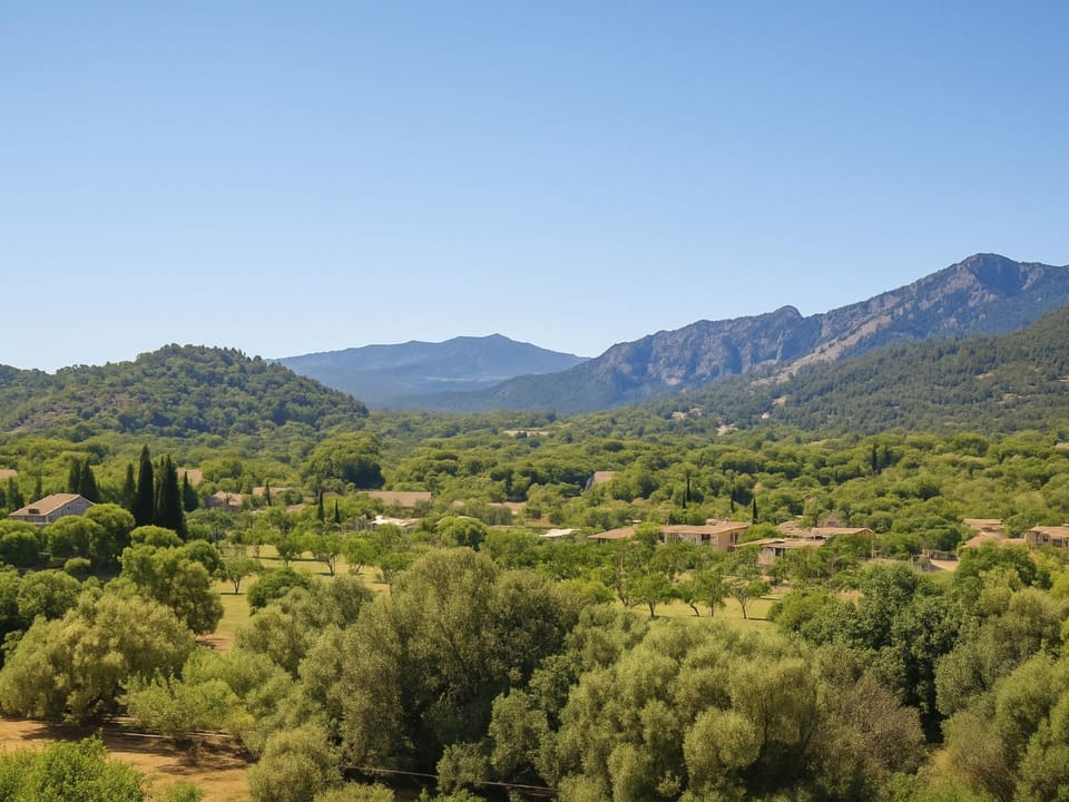 View (from property/room)
