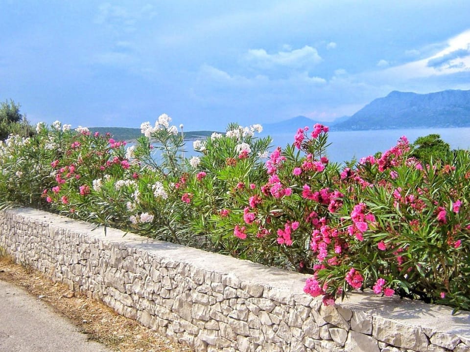 Apartment Apartments Villa Gracin by Interhome Apartment in Split-Dalmatia County