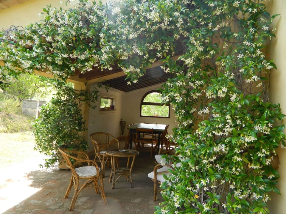 Apartment Casa Letizia mit toller Aussicht by Interhome Apartment in Tuscany