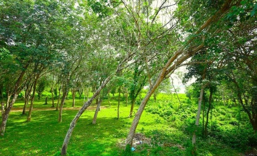 House of D&A Apartment in Western Province