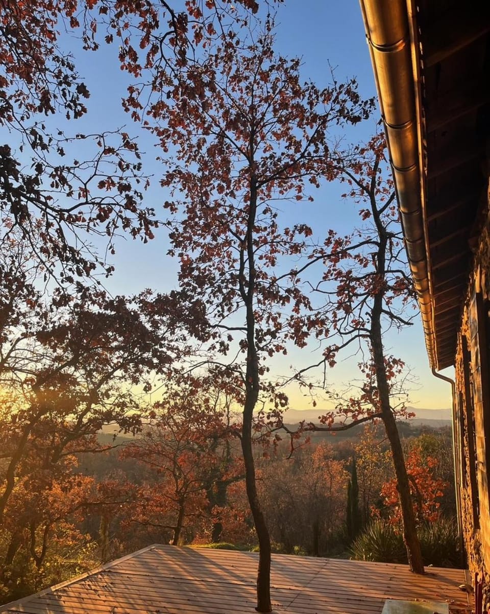 Day, Natural landscape