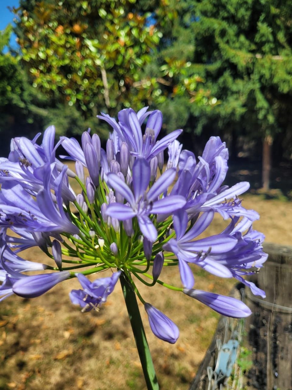 Aumônerie du Prieuré Bed and Breakfast in Pays de la Loire