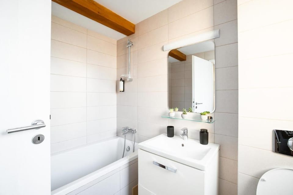Urban Stay Loft Old Town 25 Apartment in Timisoara