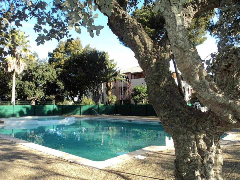 Swimming pool, Swimming pool