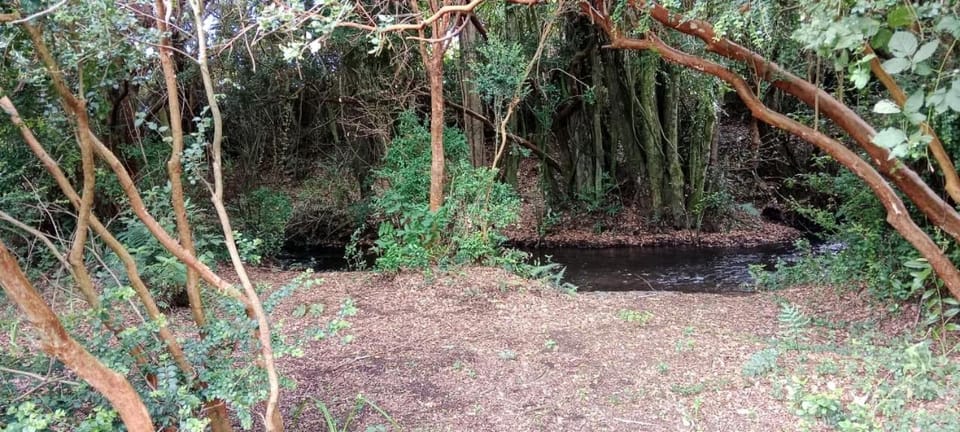 Natural landscape