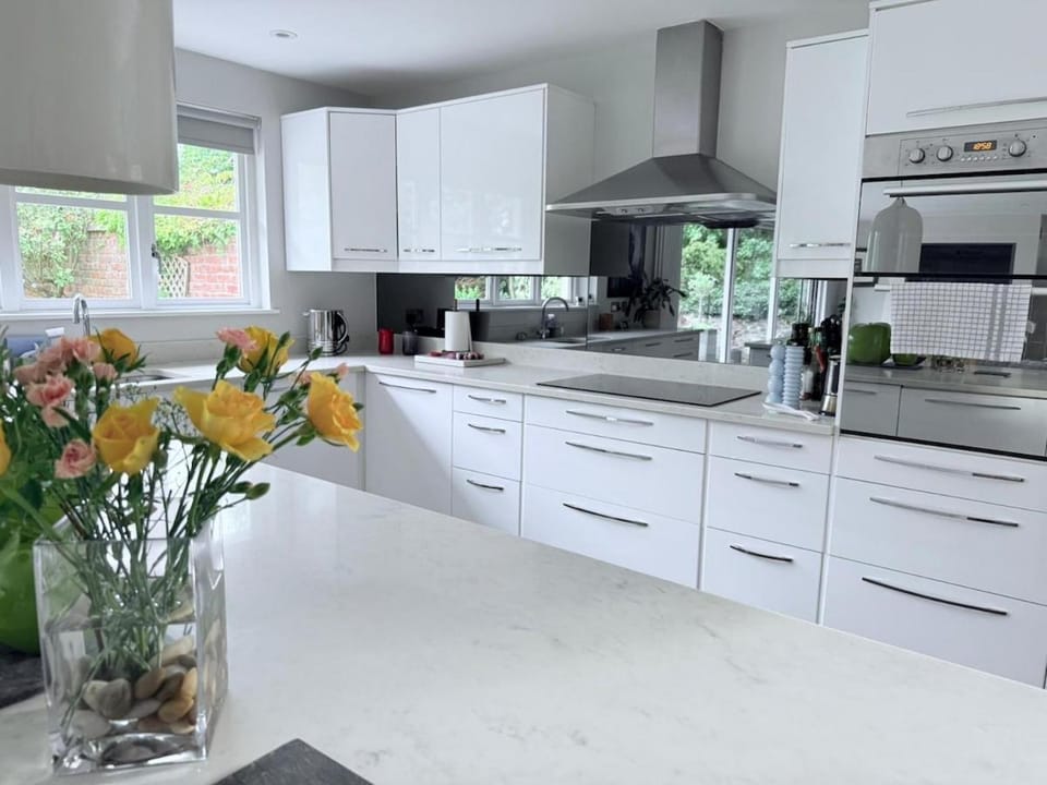 Kitchen or kitchenette, dishwasher, stove