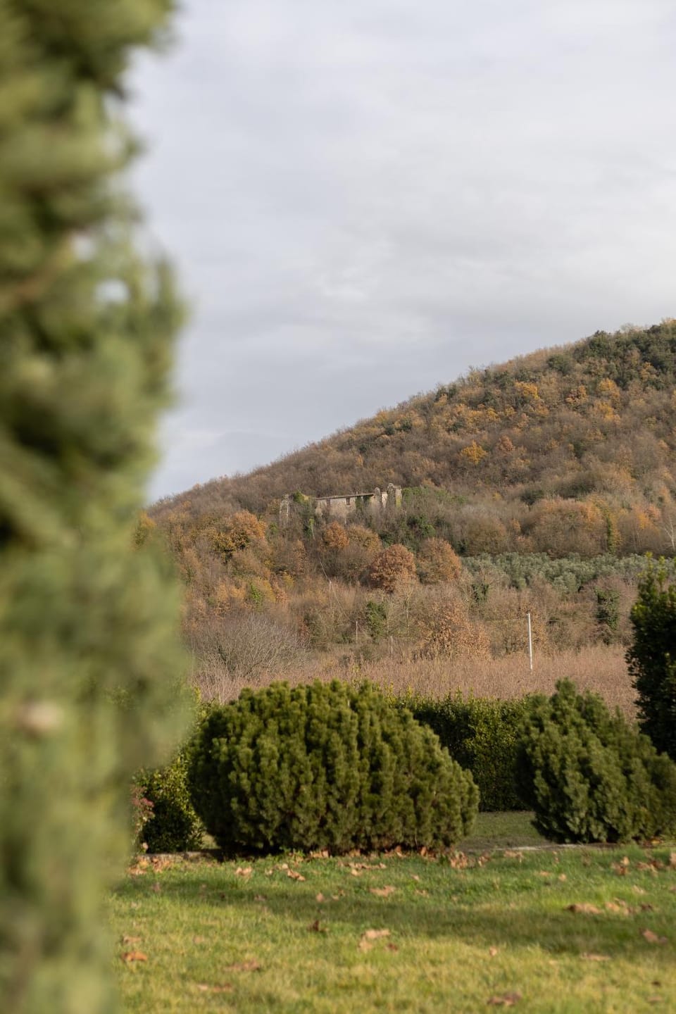 View (from property/room), Garden view, Landmark view