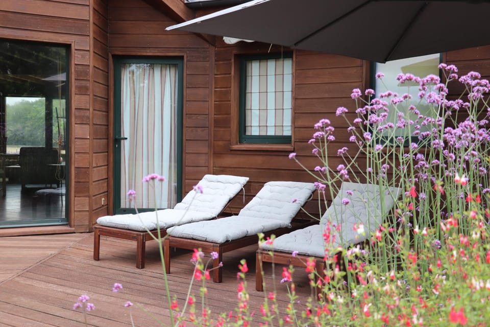 Garden, Balcony/Terrace, sunbed