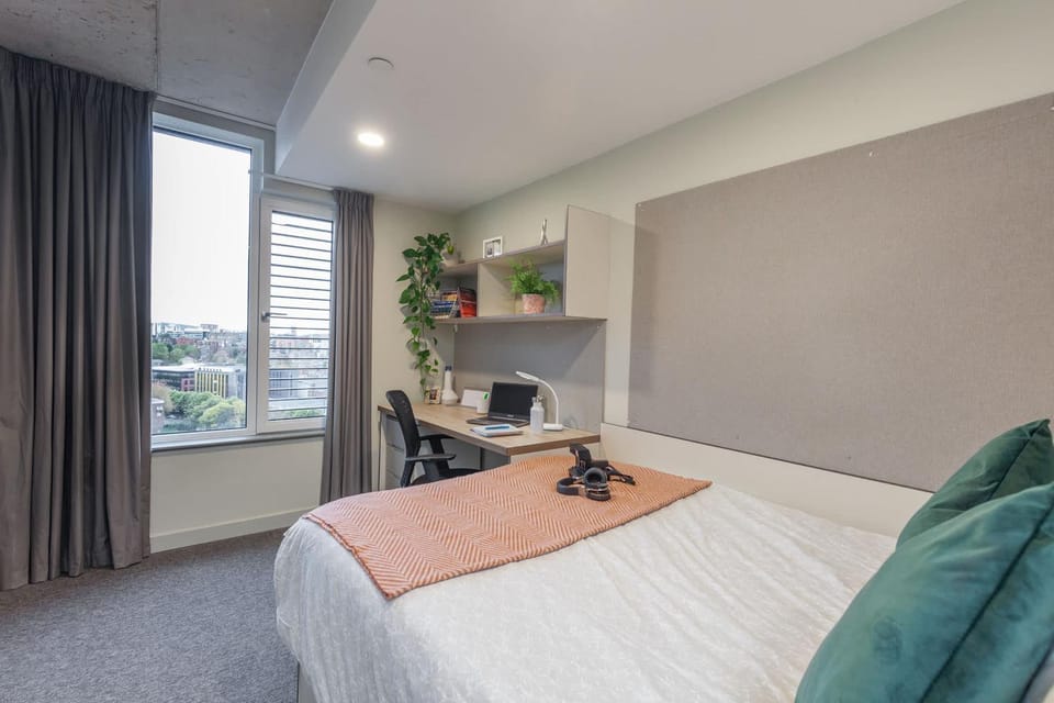 Bed, Photo of the whole room, Bedroom