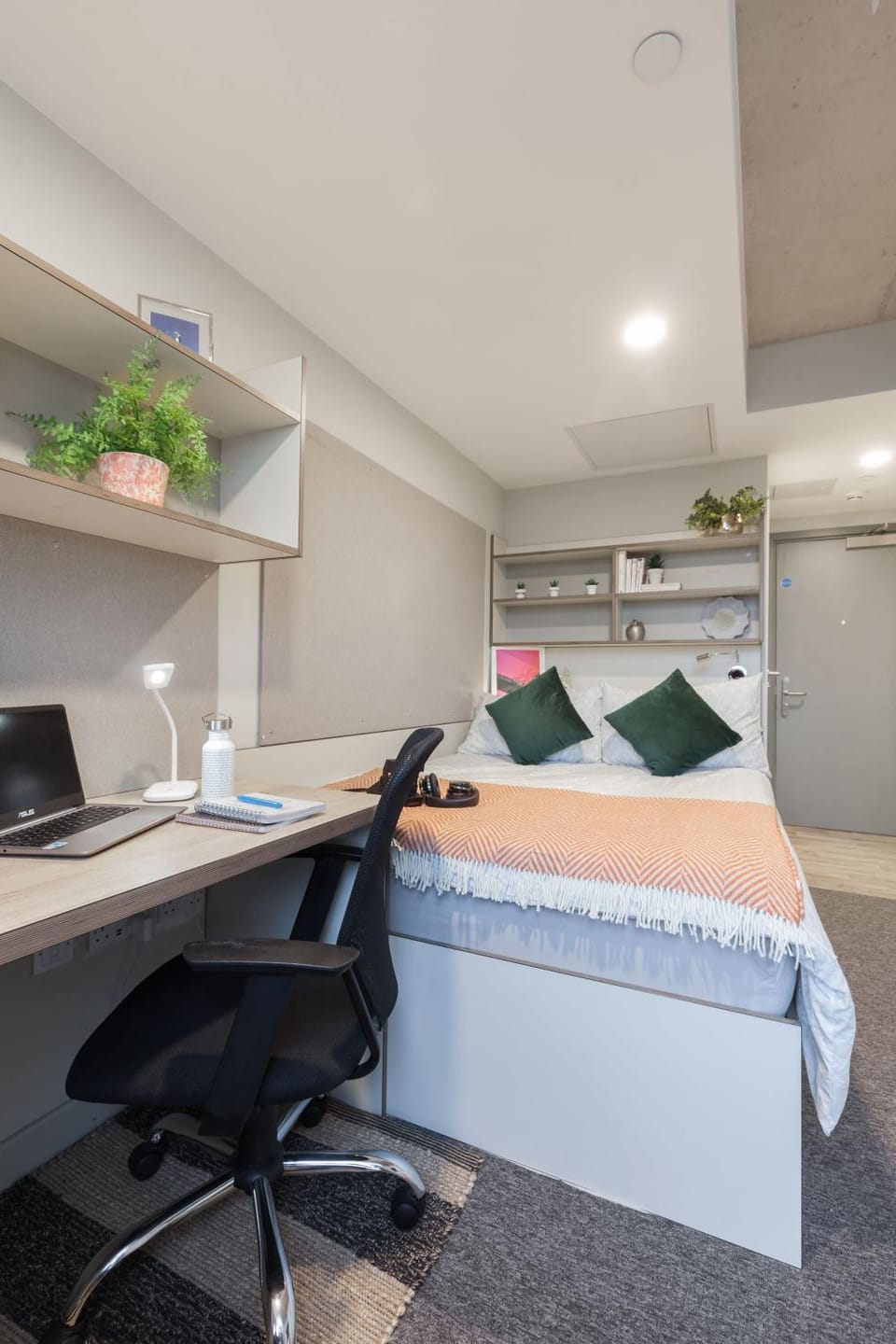 Bed, Photo of the whole room, Bedroom