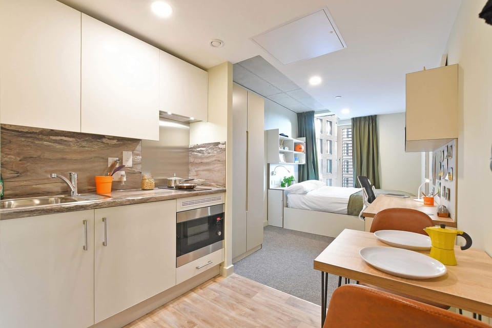 Bed, Kitchen or kitchenette, Photo of the whole room, Dining area, Bedroom, oven, stove