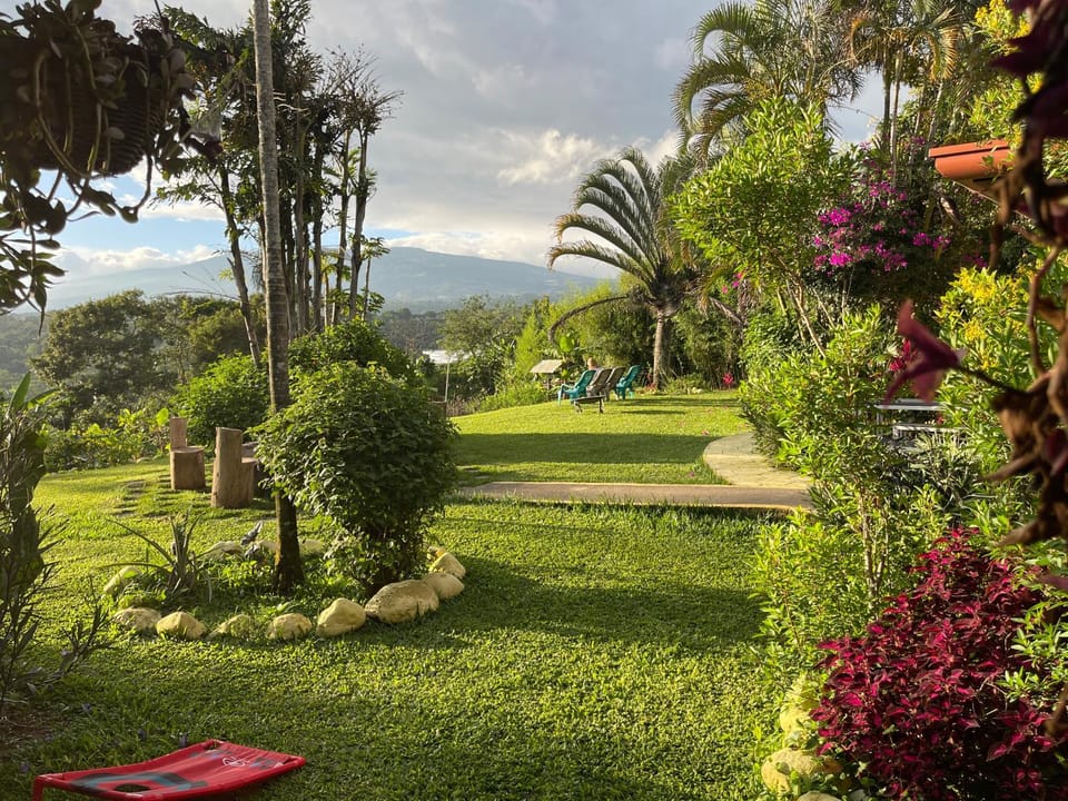 Natural landscape, Garden, Mountain view