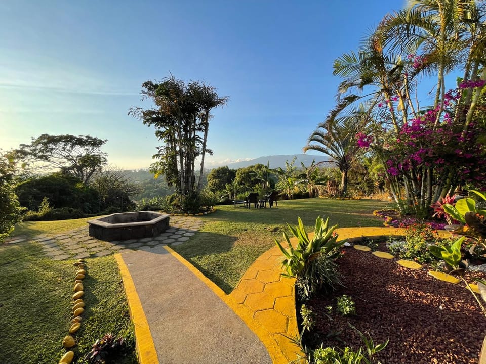 Natural landscape, Garden, Garden view