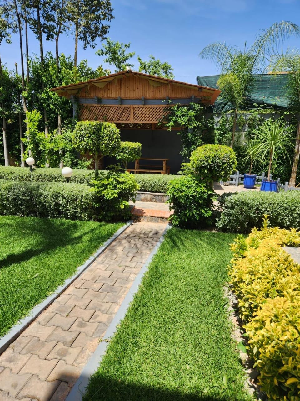 Spring, Day, Natural landscape, Garden, Garden view