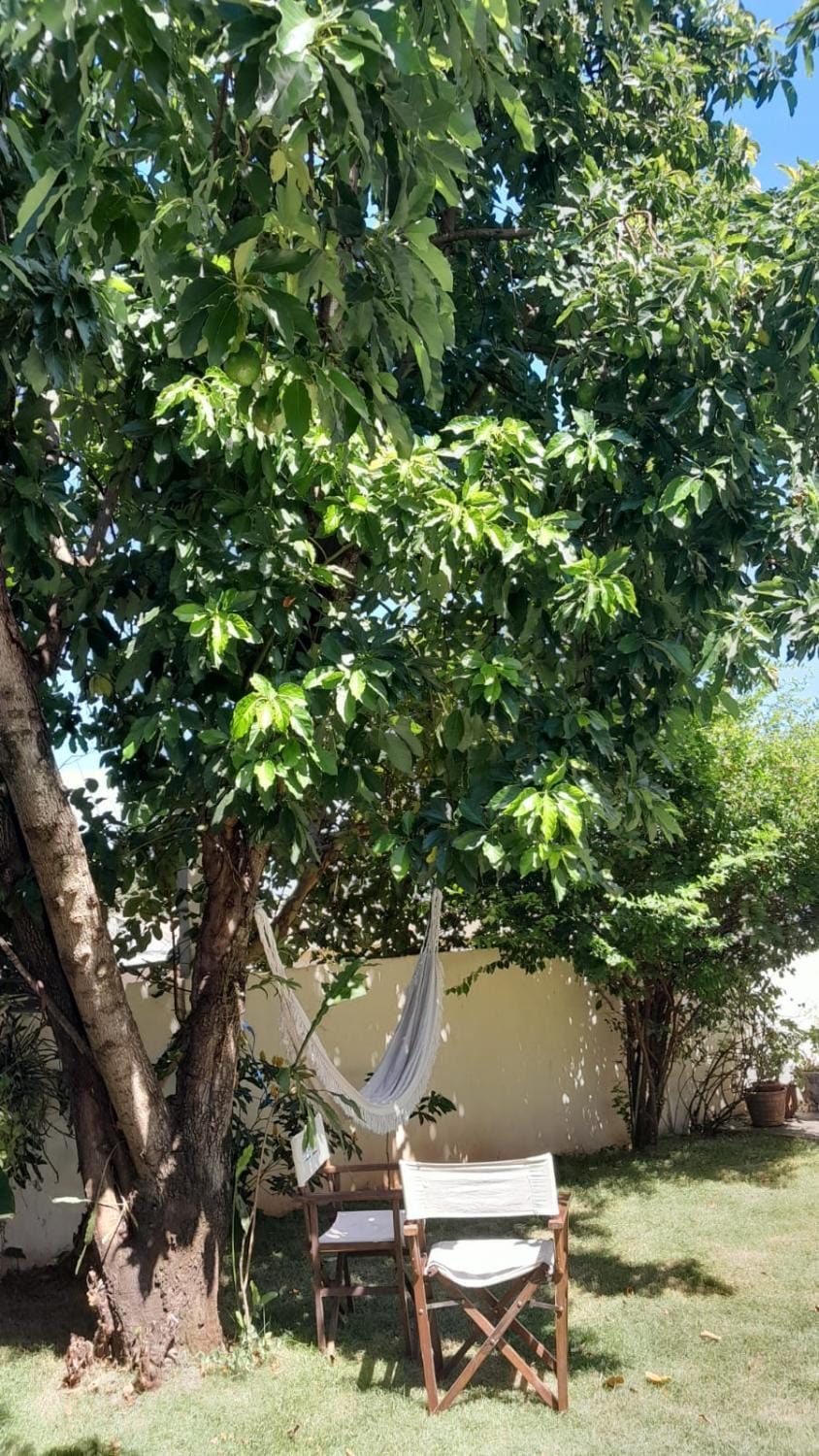 Day, Garden, Garden view