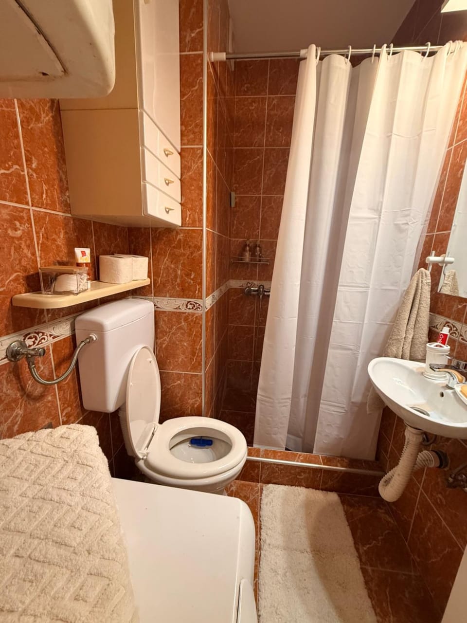 Shower, Toilet, Bathroom, Bath, towels