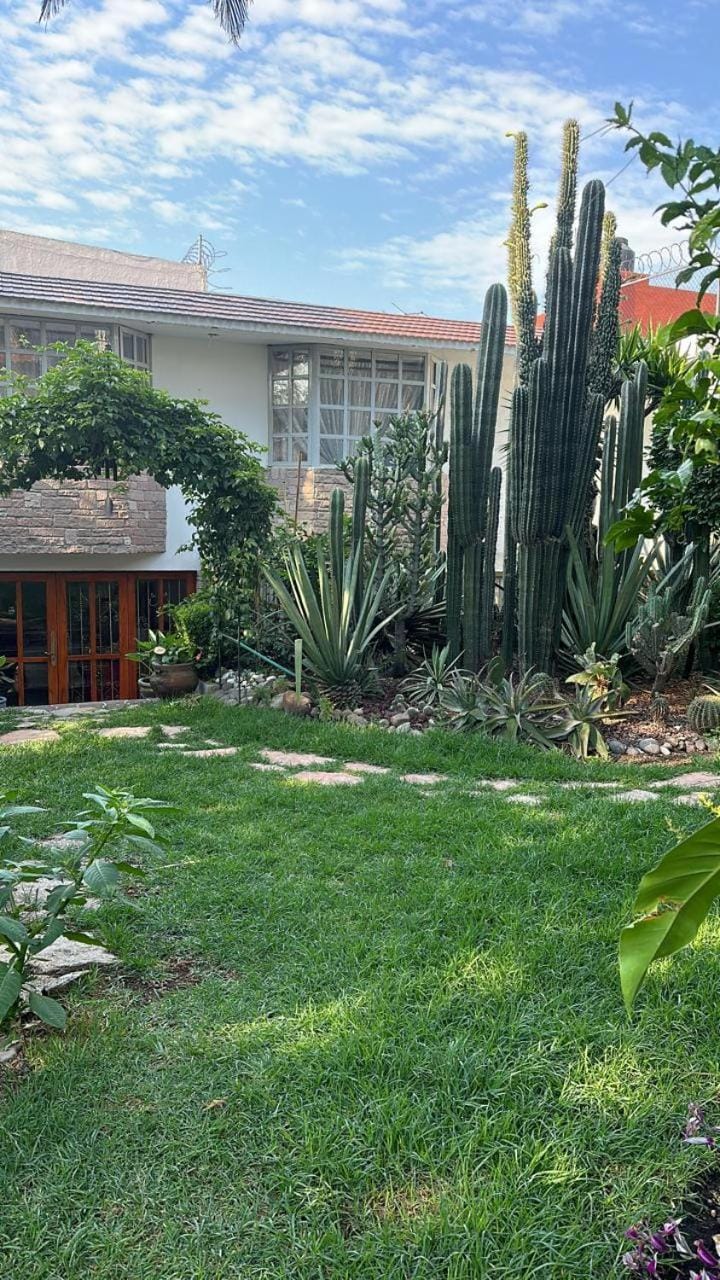 CasaButique House in Mexico City