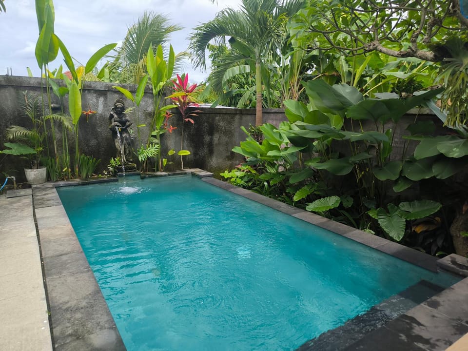 Day, Garden, Garden view, Pool view, Swimming pool