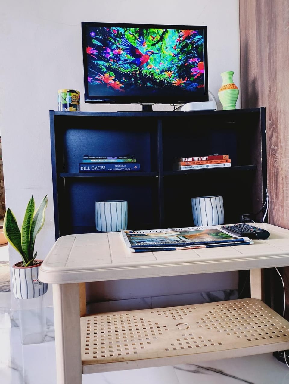 TV and multimedia