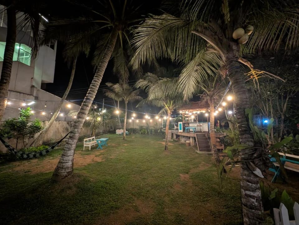 Night, Garden, Garden view