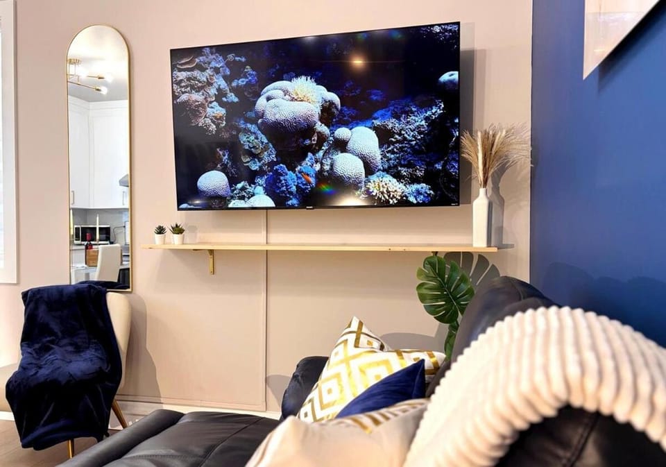 TV and multimedia