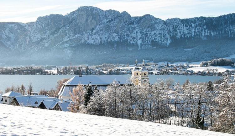 Comfortable and spacious apartment with garden in Mondsee Tiefgarben Apartment in Mondsee