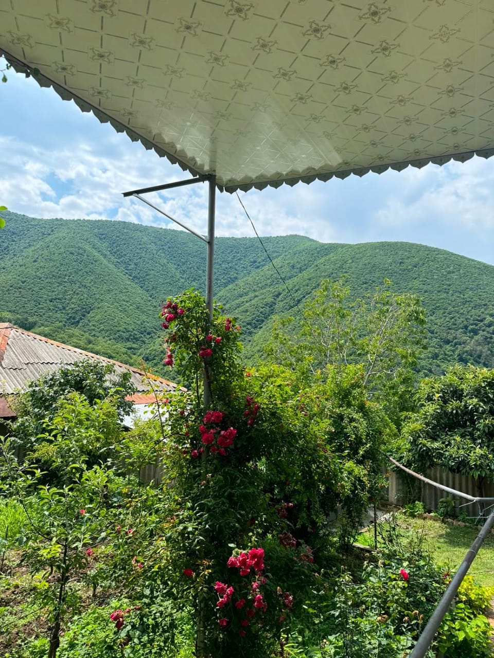 View (from property/room)