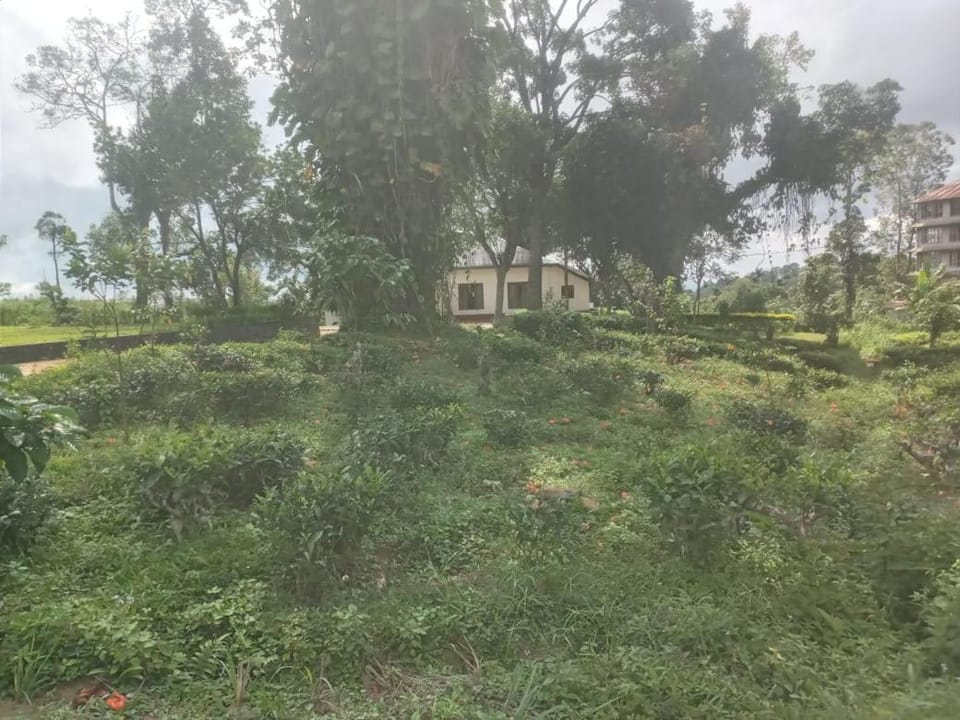 Sembuwatta Lake Polo Bungalow Nature lodge in Central Province