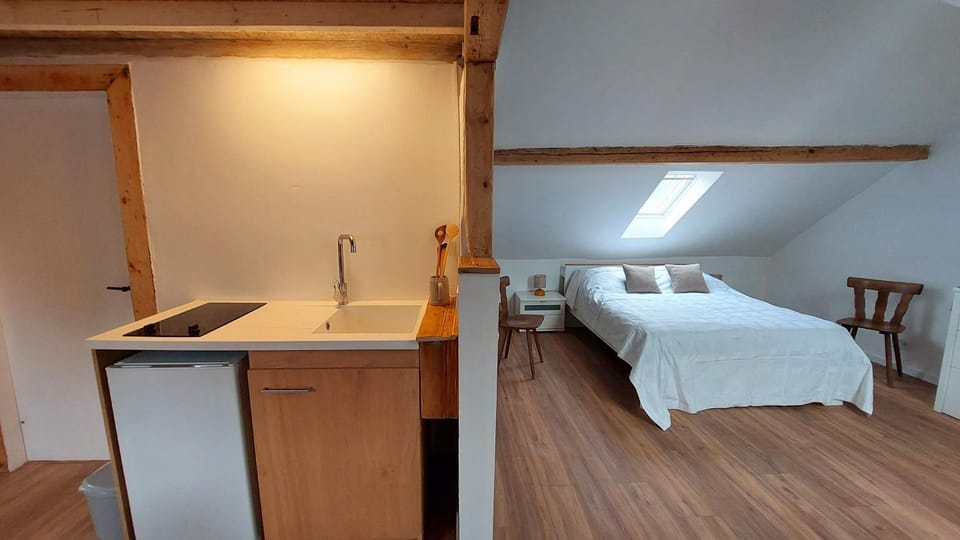 Large Private Room Near Colmar Center with Free Public Parking Vacation rental in Colmar